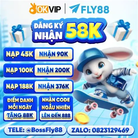 fly 88 bet